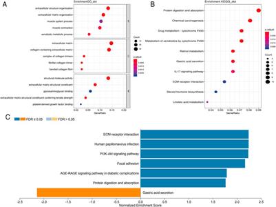 Identifying Diagnostic and Prognostic Biomarkers and Candidate Therapeutic Drugs of Gastric Cancer Based on Transcriptomics and Single-Cell Sequencing